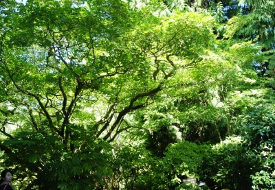 2014 08 20 08.29.35 klein